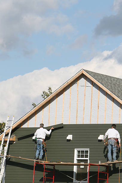Best Carpet Removal and Disposal  in Bicknell, IN
